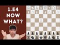 Chess Openings TIER LIST Against 1.E4 | GM Moulthun Ly