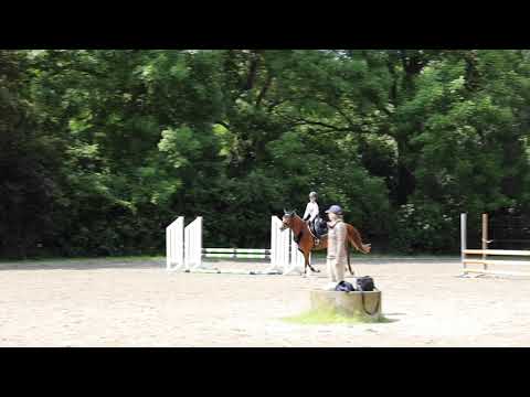 Reach Your Next Level with Meredith Michaels Beerbaum