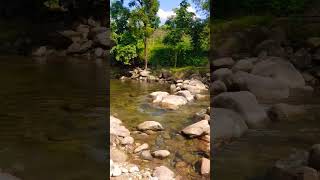 Cảnh đẹp Vùng Cao. du lịch Hà Giang #shots #hagiang #review #shorts