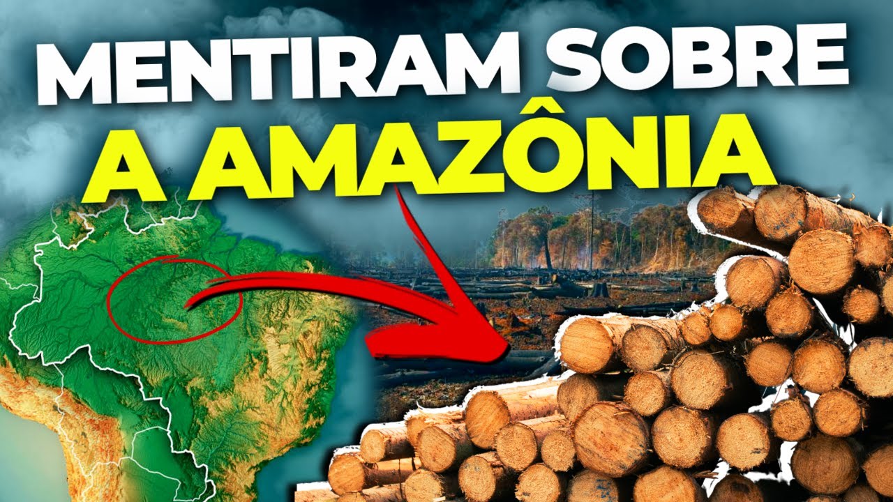 DESMATAMENTO: REALIDADE OU EXAGERO DA MÍDIA ???