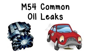 BMW M54 Common Oil Leaks (E46/E39/E60/E83/E85)