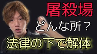屠殺場(と畜場)ってどんな所？初めての方に解説！