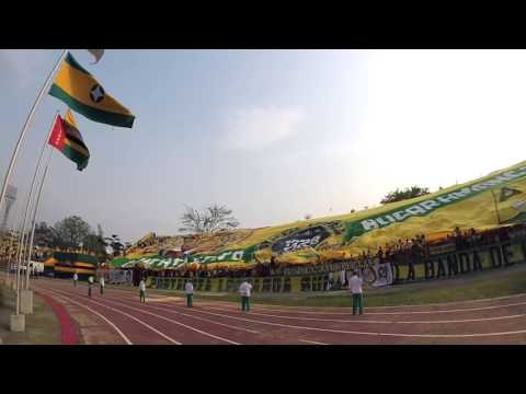 "Fortaleza Leoparda Sur" Barra: Fortaleza Leoparda Sur &bull; Club: Atlético Bucaramanga