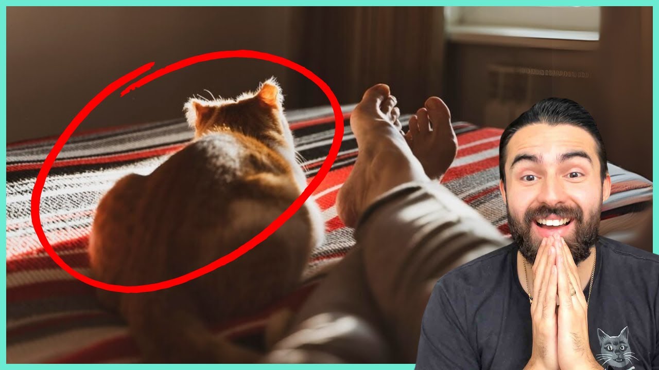 CHOCANTE: Seu Gato Dorme Aos Seus Pés? Aqui Está o que Isso Significa