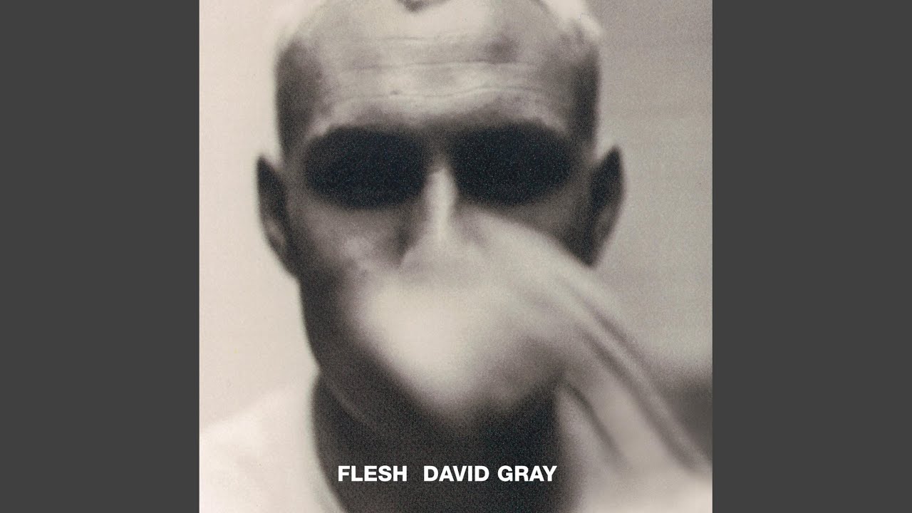 David Gray - Flesh