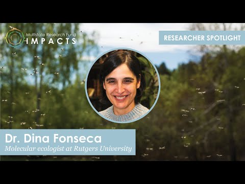 Researcher Spotlight: Dina Fonseca