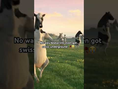 #swissunderground #rap #meme #undergroundrap #underground #hiphop