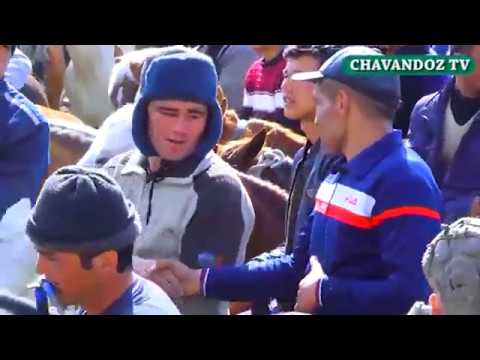 14 03 2019 САЙФУЛЛО ПОЛВОН