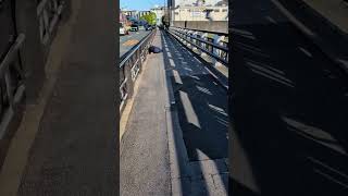 何かが倒れてる 3