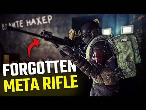You Need To Try This Forgotten Meta Rifle...