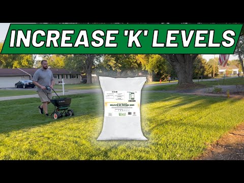 How to Increase Potassium 'K' Levels in your Lawn