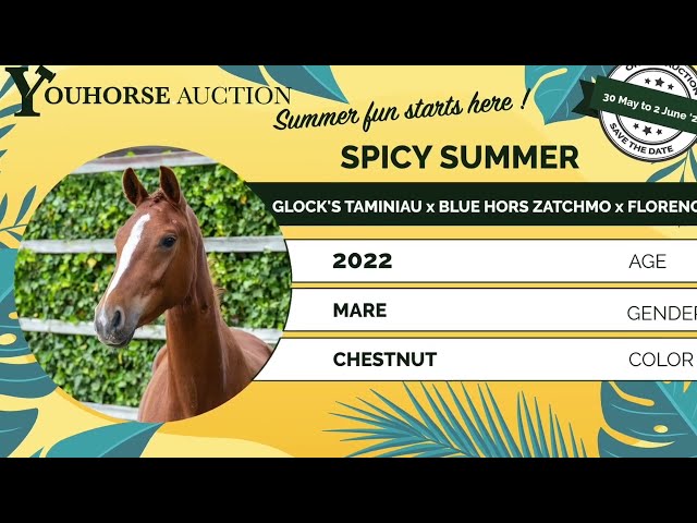Spicy Summer just saddle broken