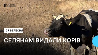 Корови для родин. На Миколаївщині селянам видали худобу