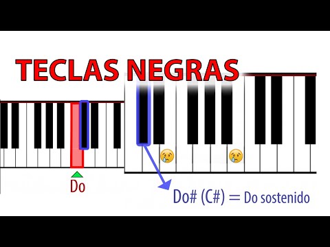 Las teclas NEGRAS del PIANO 🎹🔊♣