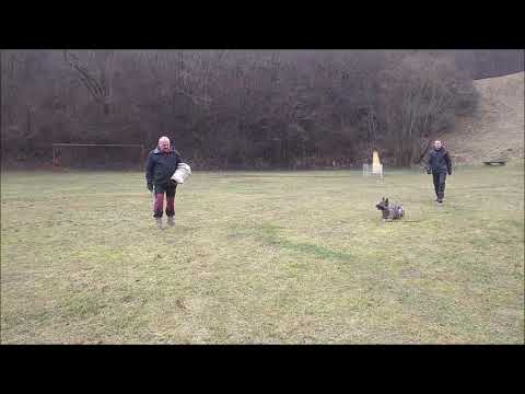 Rhonda z Gargamellu protection