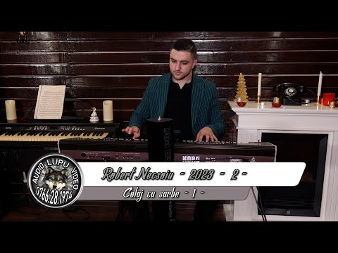 Robert de la Ocnita - KA Clasic 1 - Colaj cu sarbe - 2 - 2023