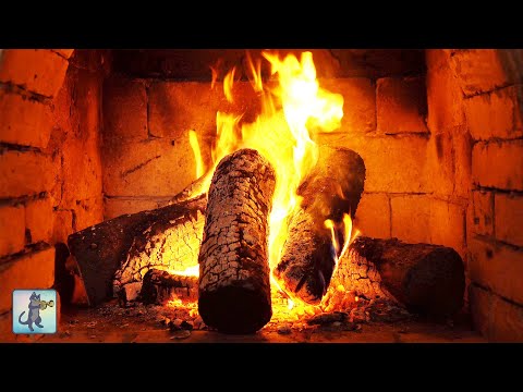12 HOURS of COZY Relaxing Fireplace Sounds ~ Warm Burning Fireplace with Crackling Fire Sounds (4K)