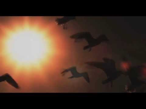 Twenty Three (SRB) & Jesper Olesen - Once A Stranger (Video Edit) [Qbed Records]