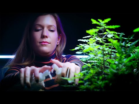 The Holy Grail Of GREEN AQUA (In 7 Easy Steps)