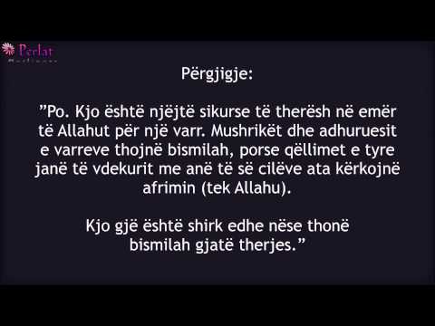 Therja kurban në emër të Allahut nga respekti - Feuzan