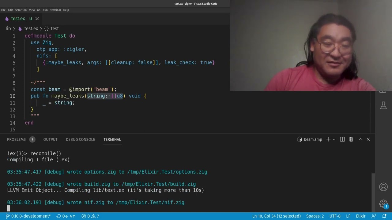 Zigler 0.10.x - Memory leak detection!