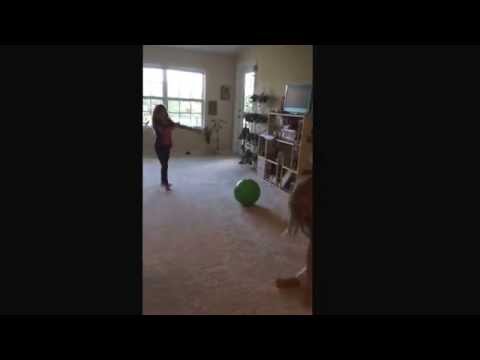 Gymnastics Anfisa and Cienna