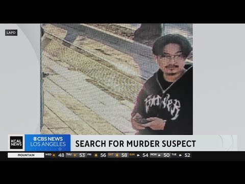 Detectives release photos of suspect wanted for fatal stabbing on Metro train