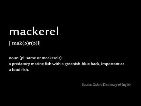 How to pronounce - mackerel