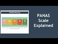 PANAS Scale