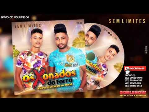 12 - OS XONADOS DO FORRÓ - ISSO NÃO É AMOR Novo CD 2019 Vol_06(Sandrinho Silva)