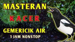 Download lagu Masteran suara burung Kacer dengan Gemericik air untuk TERAPI dan Pancingan mp3