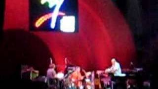 Medeski Martin & Wood - Live @ Celebrate Brooklyn 2008