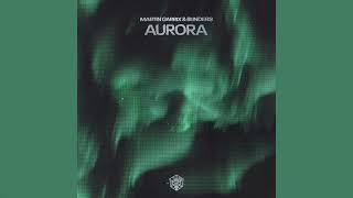 Martin Garrix &amp; Blinders - Aurora (Extended Mix)