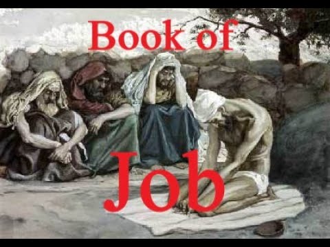 Daily Bible Reading Plan - Day 220 - Job - END