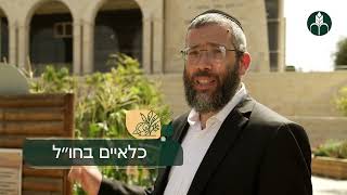 שיעור רביעי בהלכות כלאים - דינים שונים בהלכות כלאים