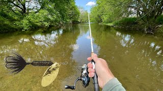 TROUT Fishing with Rooster Tail Spinners (creek fishing)