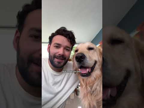 Places Felipe has never seen