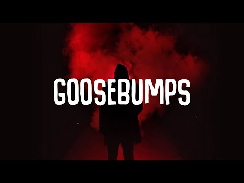 Travis Scott, HVME - Goosebumps (Lyrics)
