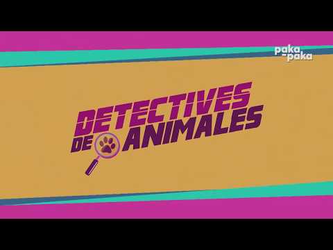 ¡Estreno! Detective de Animales - Pakapaka