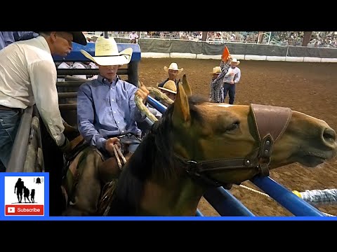 Bronc Riding - 2021 Ben Johnson Days Rodeo | Saturday