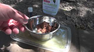 How to eliminate Ants from eating Cat and Dog food!