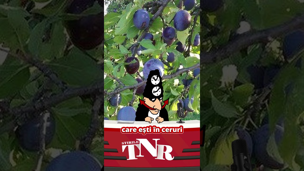 Nerăbdare! „Coace, Doamne, prunele” a depăşit „Tatăl nostru” în topul rugăciunilor