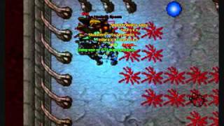 Tibia Isara - Killing in the name of... - Pwned A lot of fur - Achivement