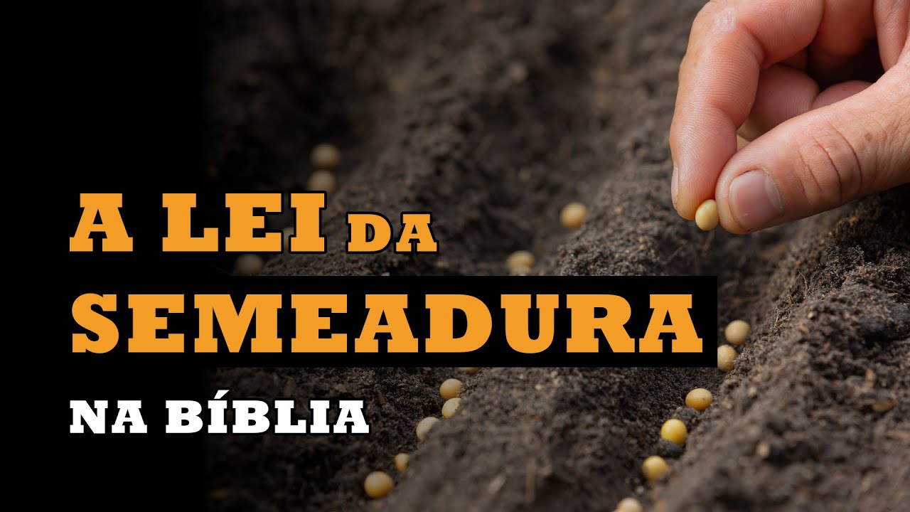 A LEI DA SEMEADURA: muito além do que você imagina