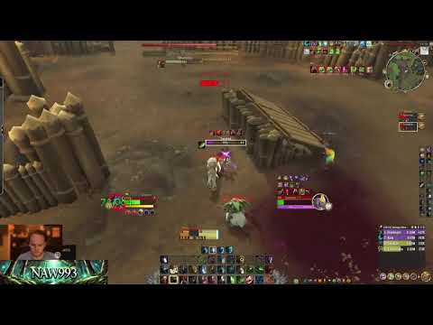 TWW PvP!  Skirmish - Feral Druid & Subtlety Rogue & VS BM Hunter & Havoc Demon Hunter #shorts