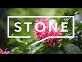 15 Karloon Road Real Estate Video