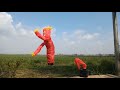 Wacky Waving Inflatable Arm Flailing Tube Man - I Love It