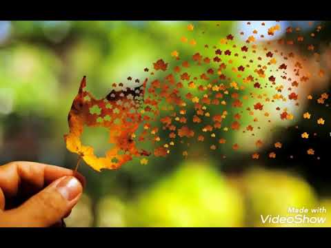 Dil ka kya kare saheb jhankar Eagle hifi songs