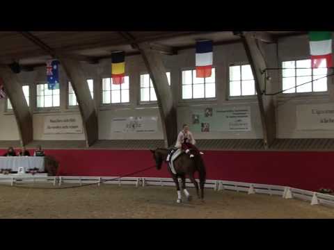 CVI Bern 2015 - Simone Jäiser CVI3* (Freestyle)