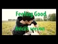 Feeling Good - Nina Simon (Avicii version ...